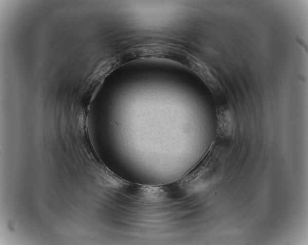 X0000096680333200802051251