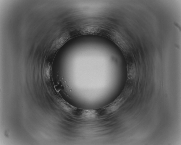 X0000096680334200802051251