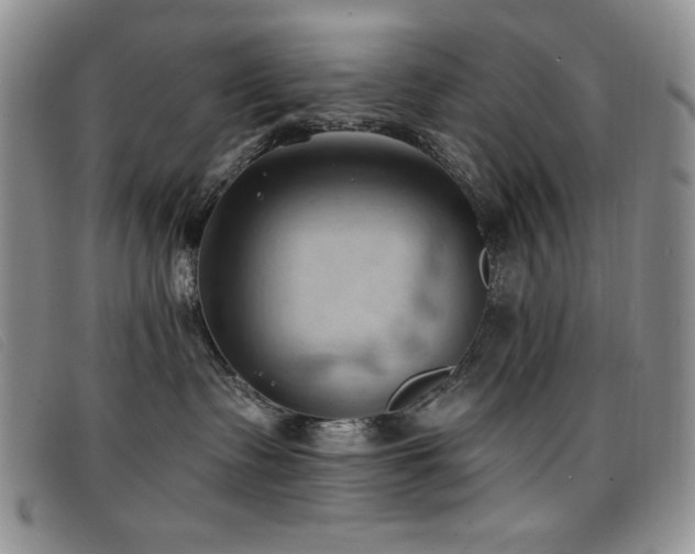 X0000096680335200802051251