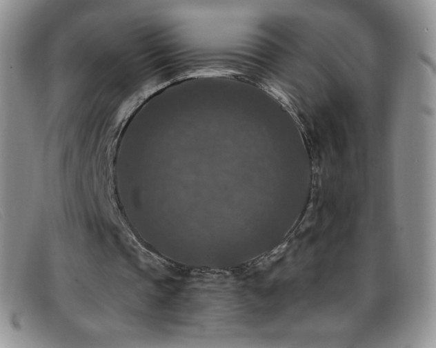 X0000096680337200802051251