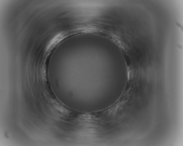X0000096680339200802051251