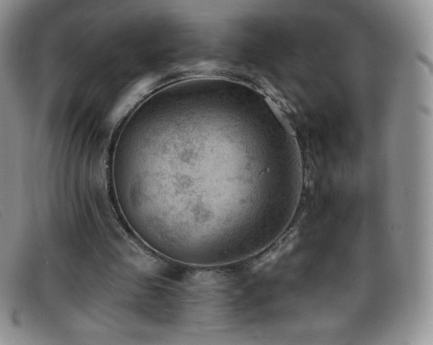 X0000096680341200802051251