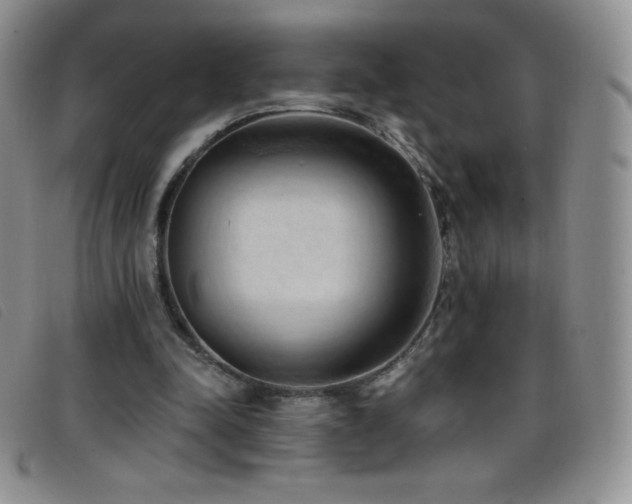X0000096680342200802051251