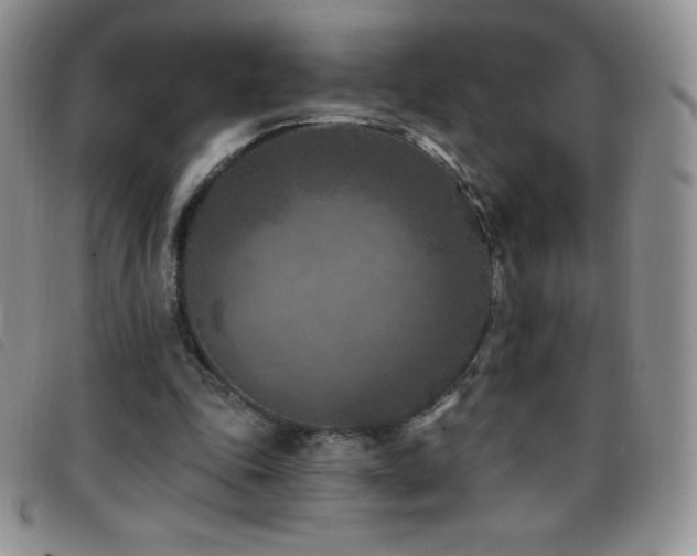X0000096680343200802051251