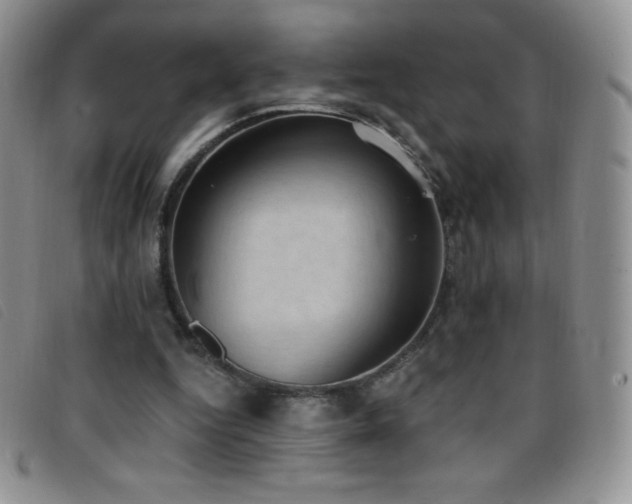 X0000096680344200802051251