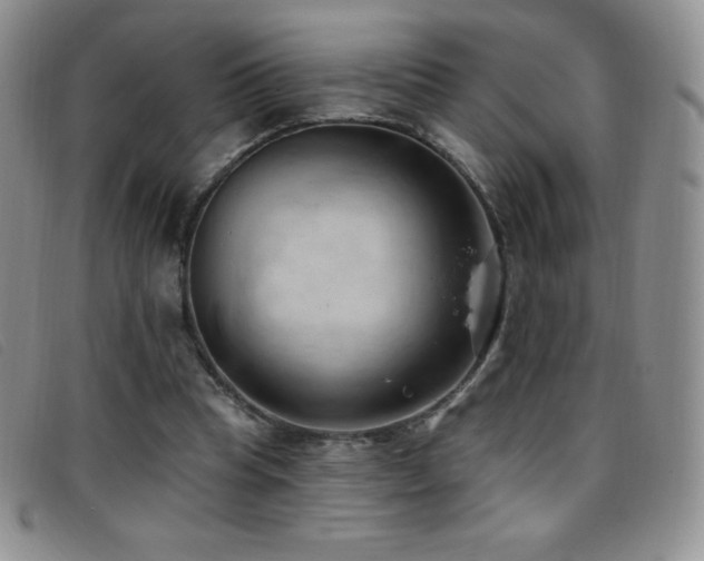 X0000096680345200802051251