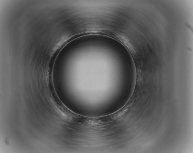 X0000096680346200802051251