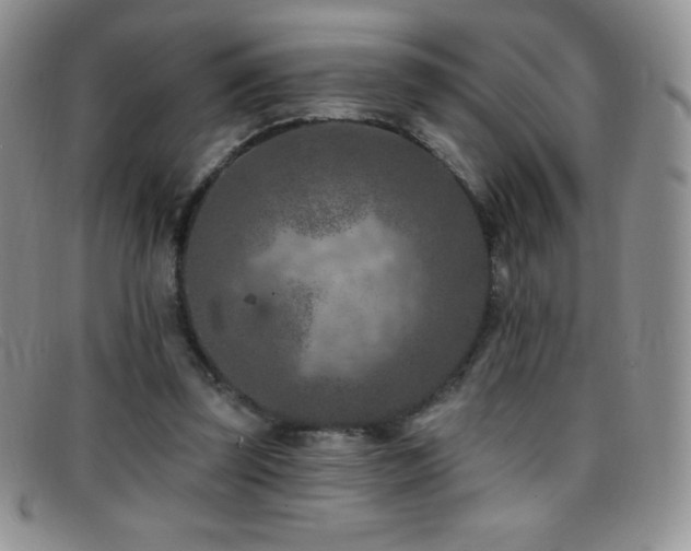 X0000096680347200802051251