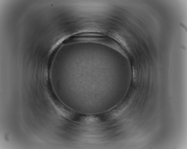 X0000096680348200802051251