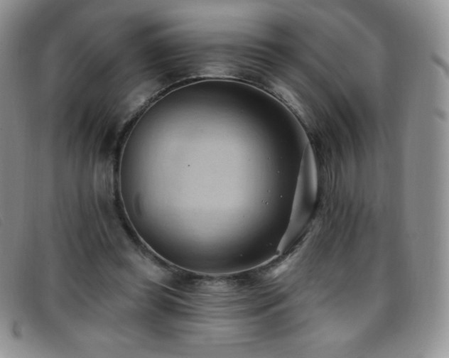 X0000096680349200802051251