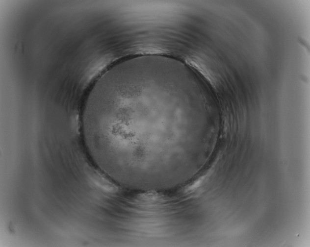 X0000096680351200802051251