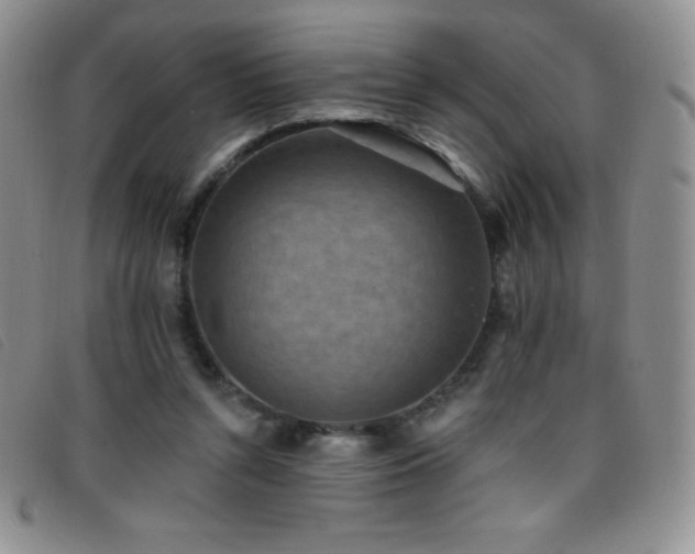 X0000096680352200802051251