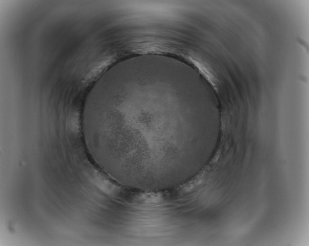 X0000096680353200802051251