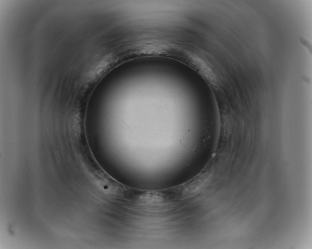 X0000096680354200802051251