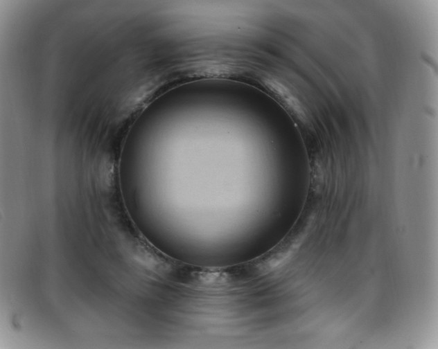 X0000096680355200802051251