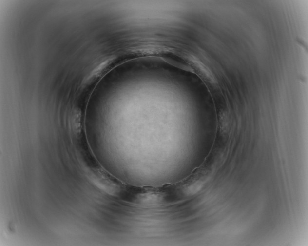 X0000096680356200802051251
