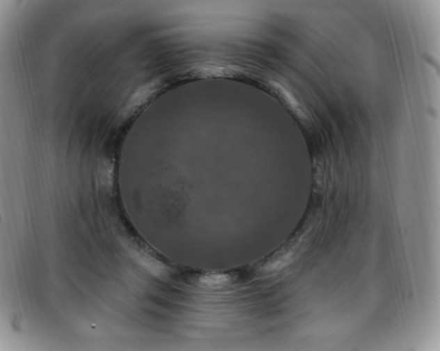 X0000096680357200802051251