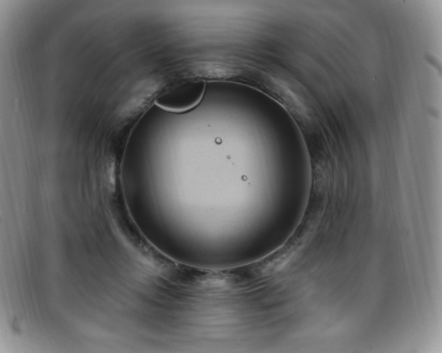 X0000096680358200802051251