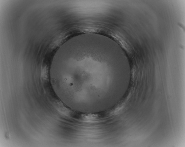 X0000096680359200802051251