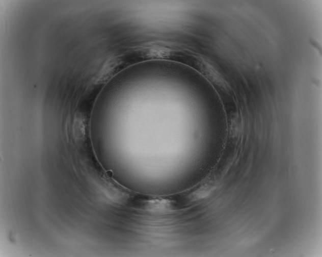 X0000096680363200802051251