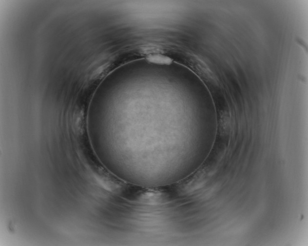 X0000096680364200802051251