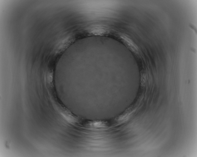 X0000096680365200802051251