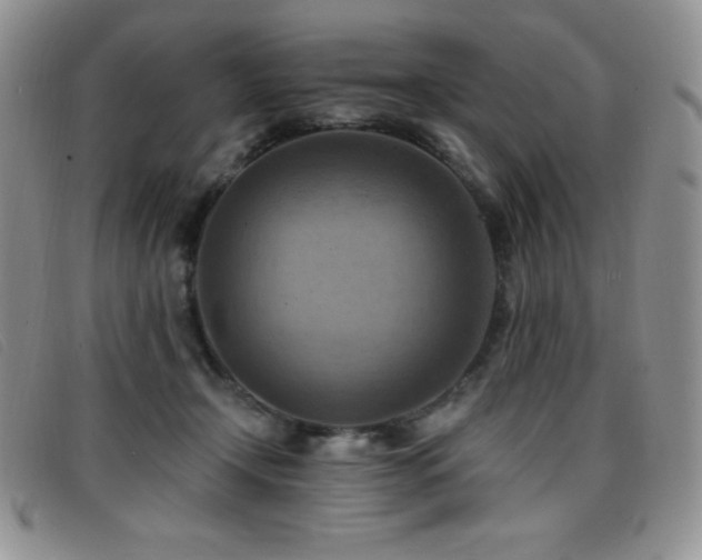 X0000096680366200802051251