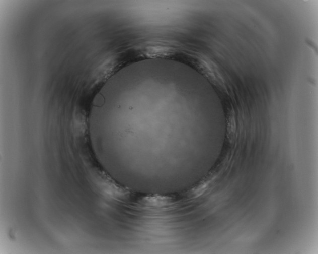 X0000096680367200802051251