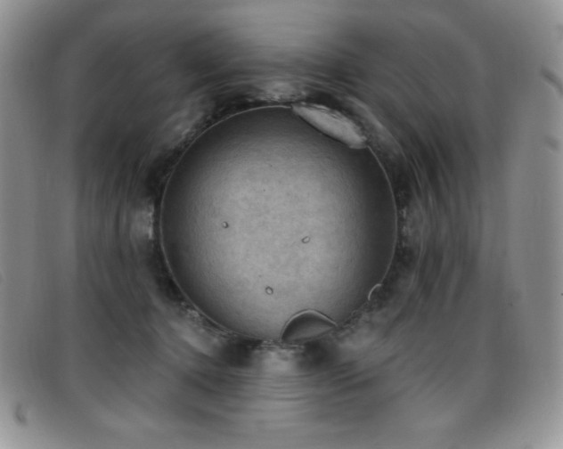 X0000096680368200802051251