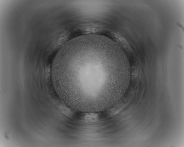 X0000096680369200802051251