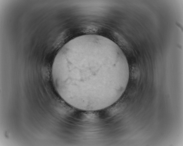 X0000096680370200802051251