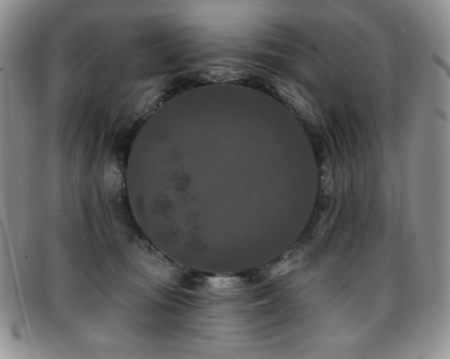 X0000096680371200802051251