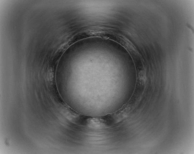X0000096680372200802051251