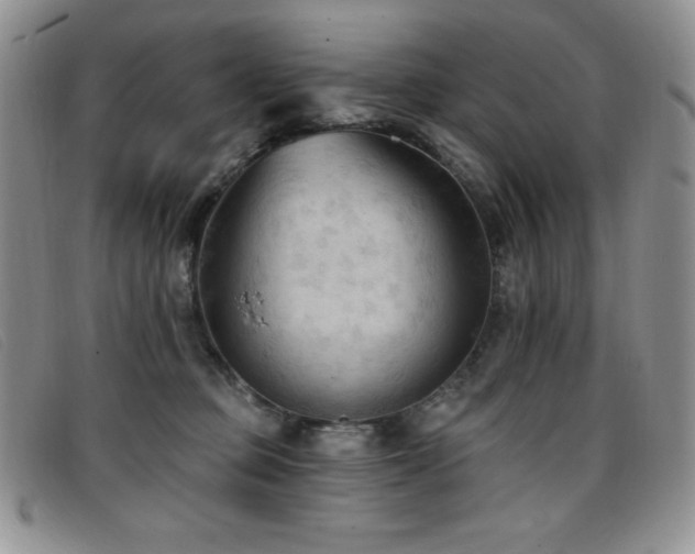 X0000096680373200802051251