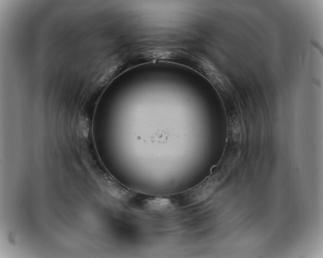 X0000096680374200802051251