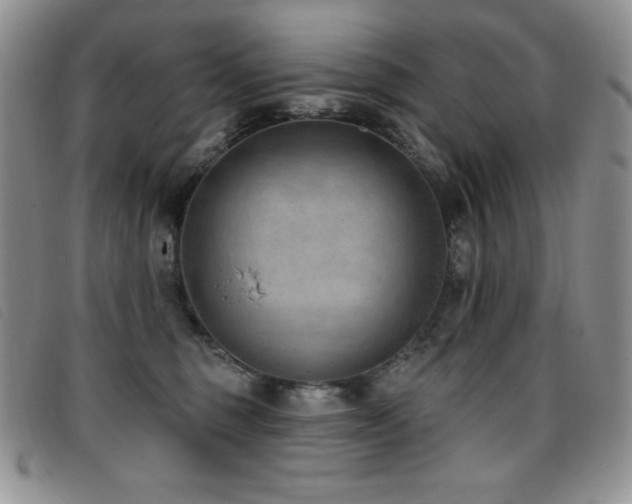 X0000096680375200802051251