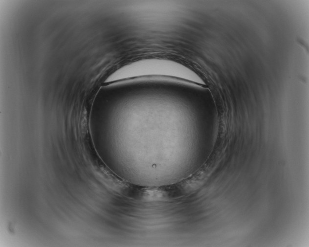 X0000096680376200802051251