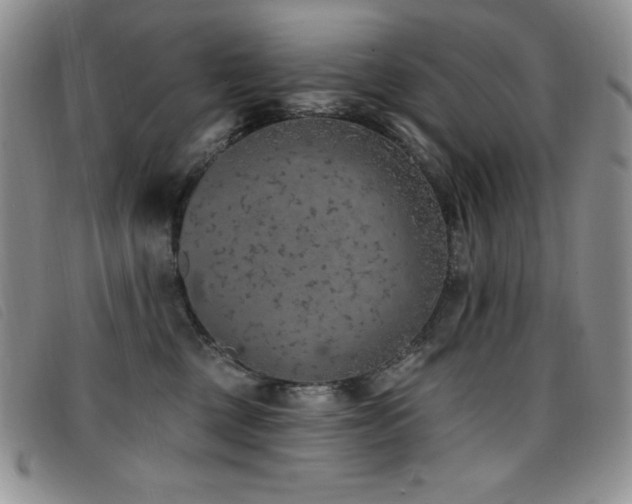 X0000096680377200802051251