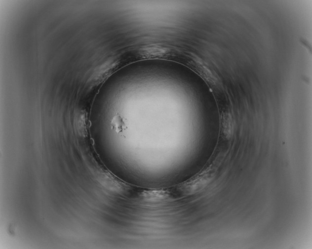 X0000096680378200802051251