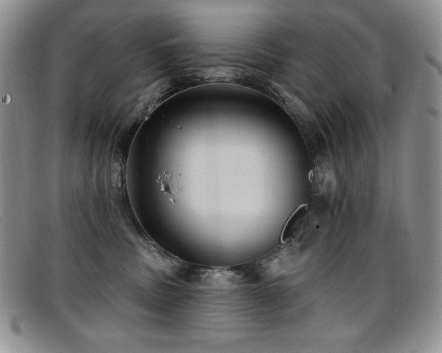 X0000096680379200802051251
