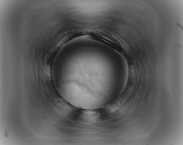 X0000096680380200802051251