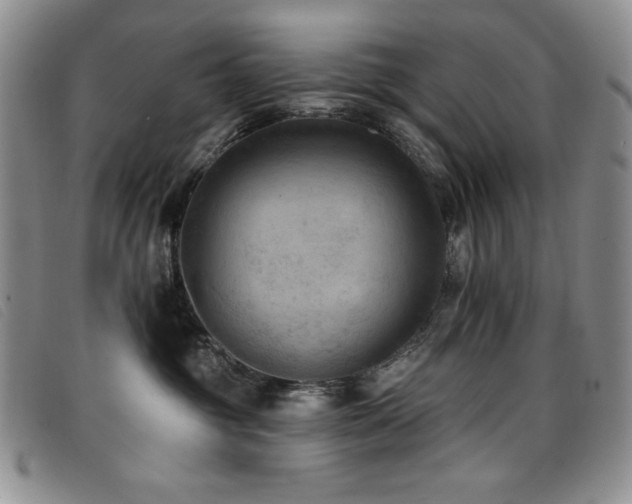 X0000096680381200802051251