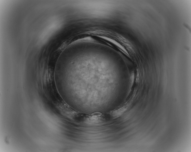 X0000096680382200802051251