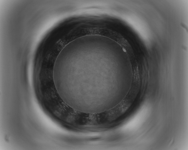 X0000096680383200802051251