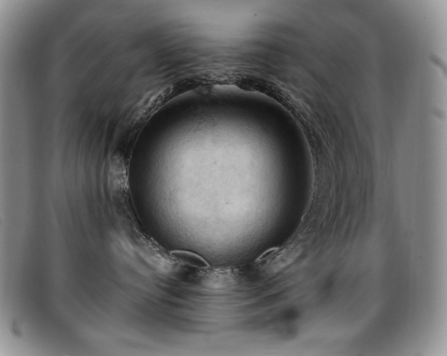 X0000096680384200802051251