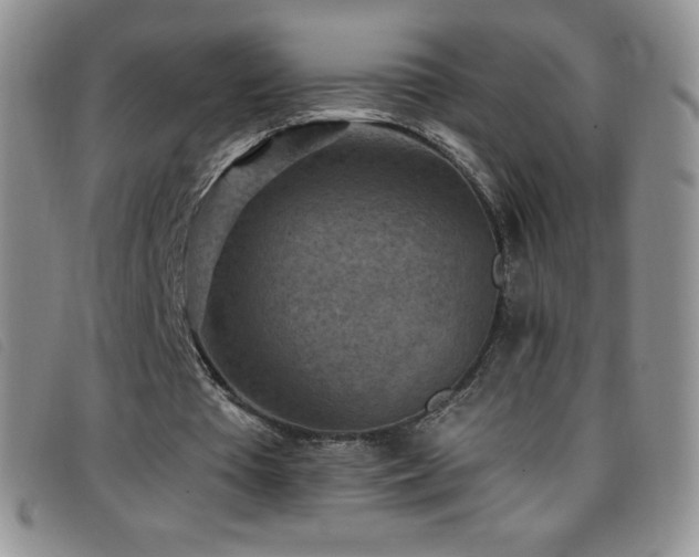 X0000096680385200802051251