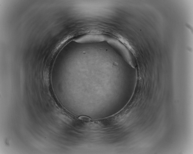 X0000096680386200802051251