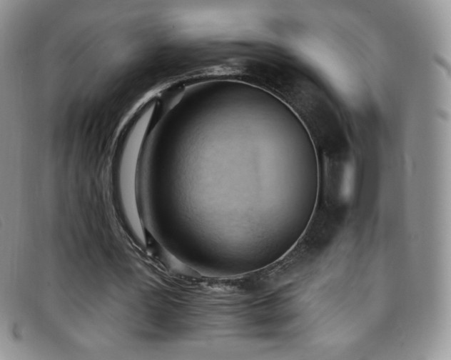 X0000096680387200802051251