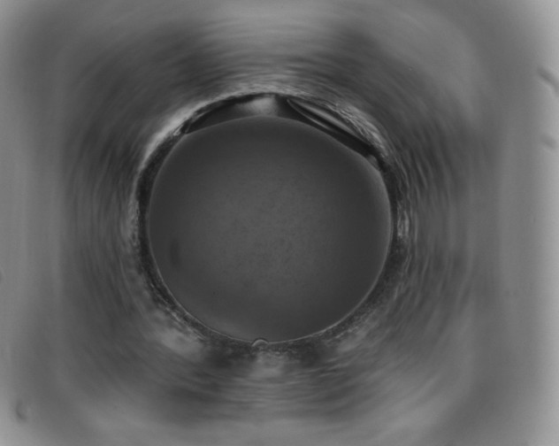 X0000096680388200802051251