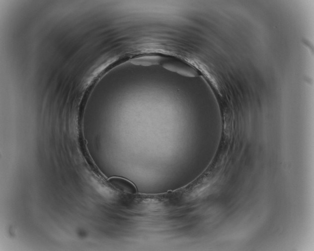 X0000096680390200802051250